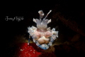 weekly hotshot click to zoom